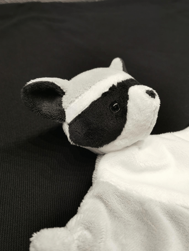 Doudou raton laveur