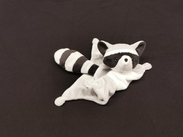 Doudou raton laveur