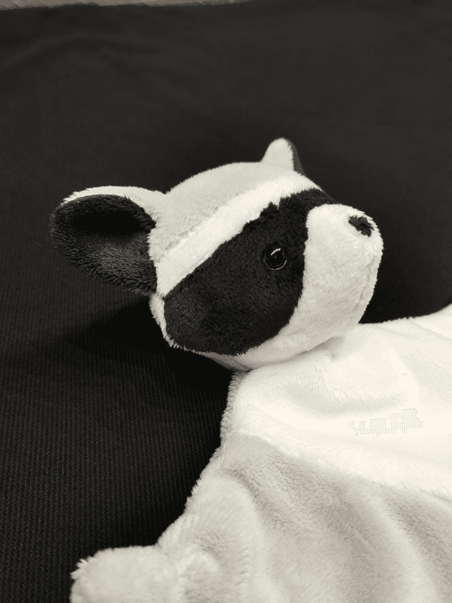 Doudou raton laveur